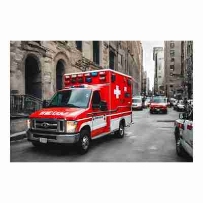 POSTCARDS • 16 pt<br>6" x 9"