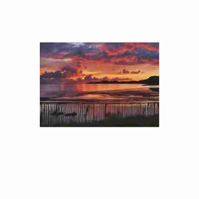 POSTCARDS • 16 pt<br>4.25" x 6"